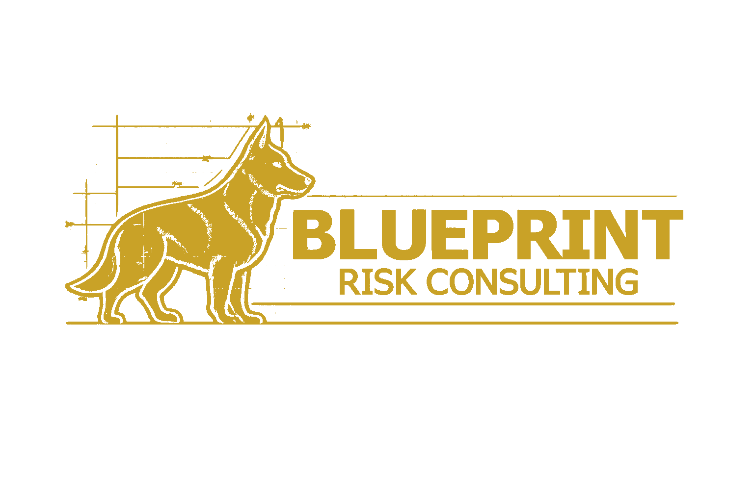 Blueprint Risk Consulting