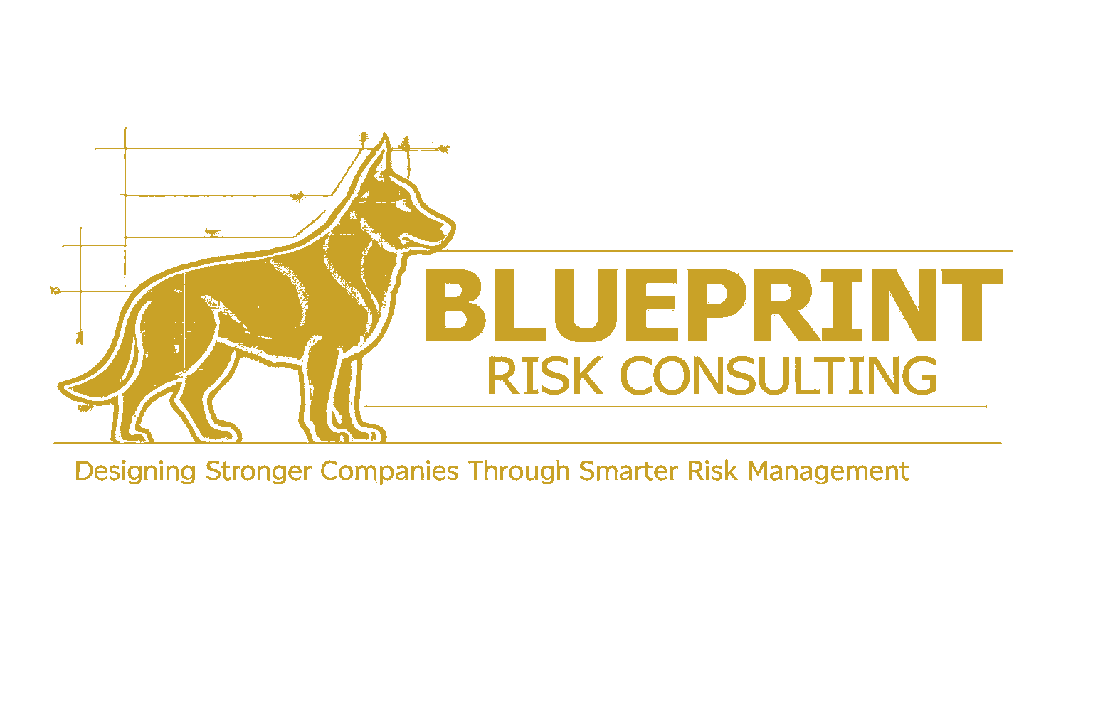 Blueprint Risk Consulting — Designing Stronger Companies Through Smarter Risk Management